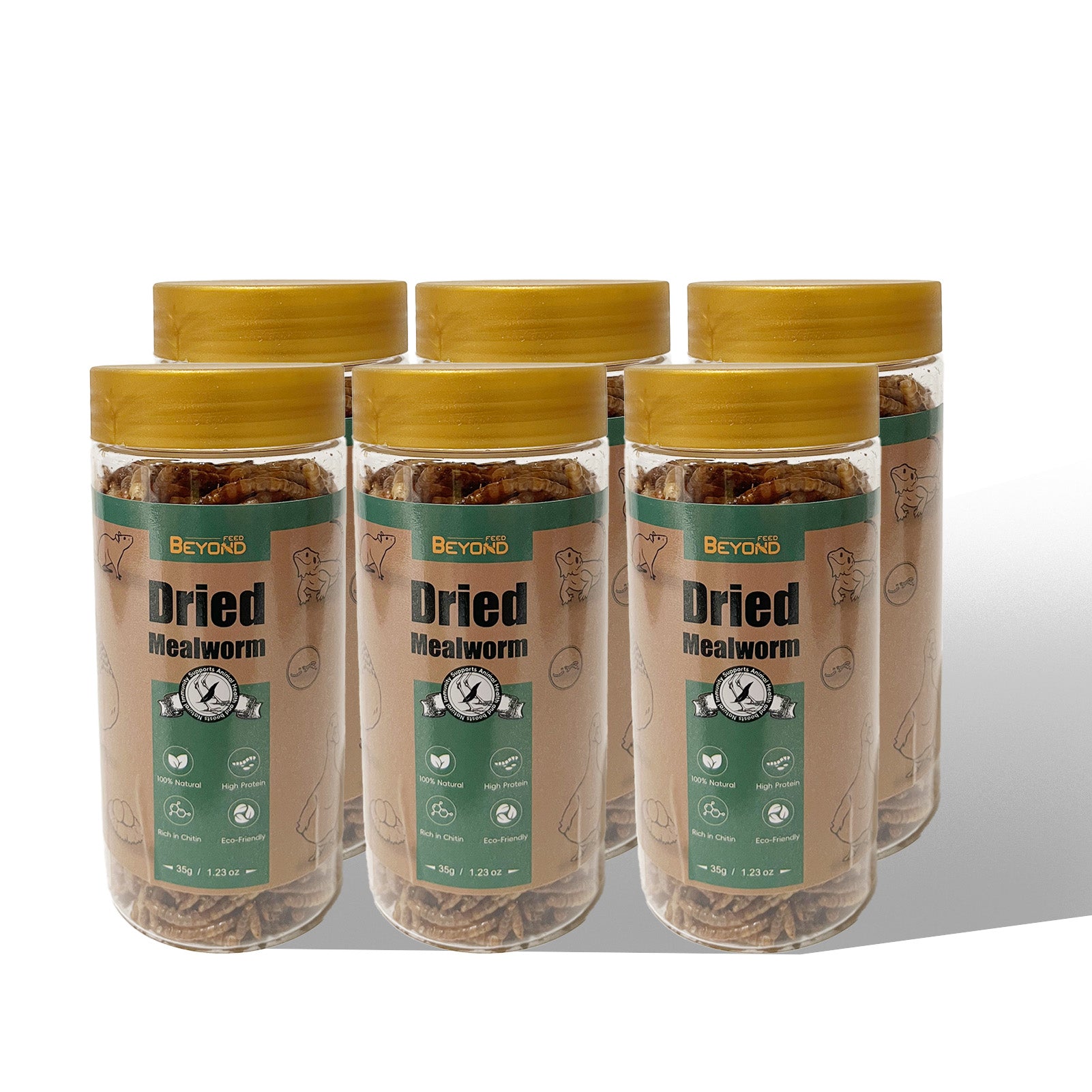 Gusano de la harina seco BeyondFeed™