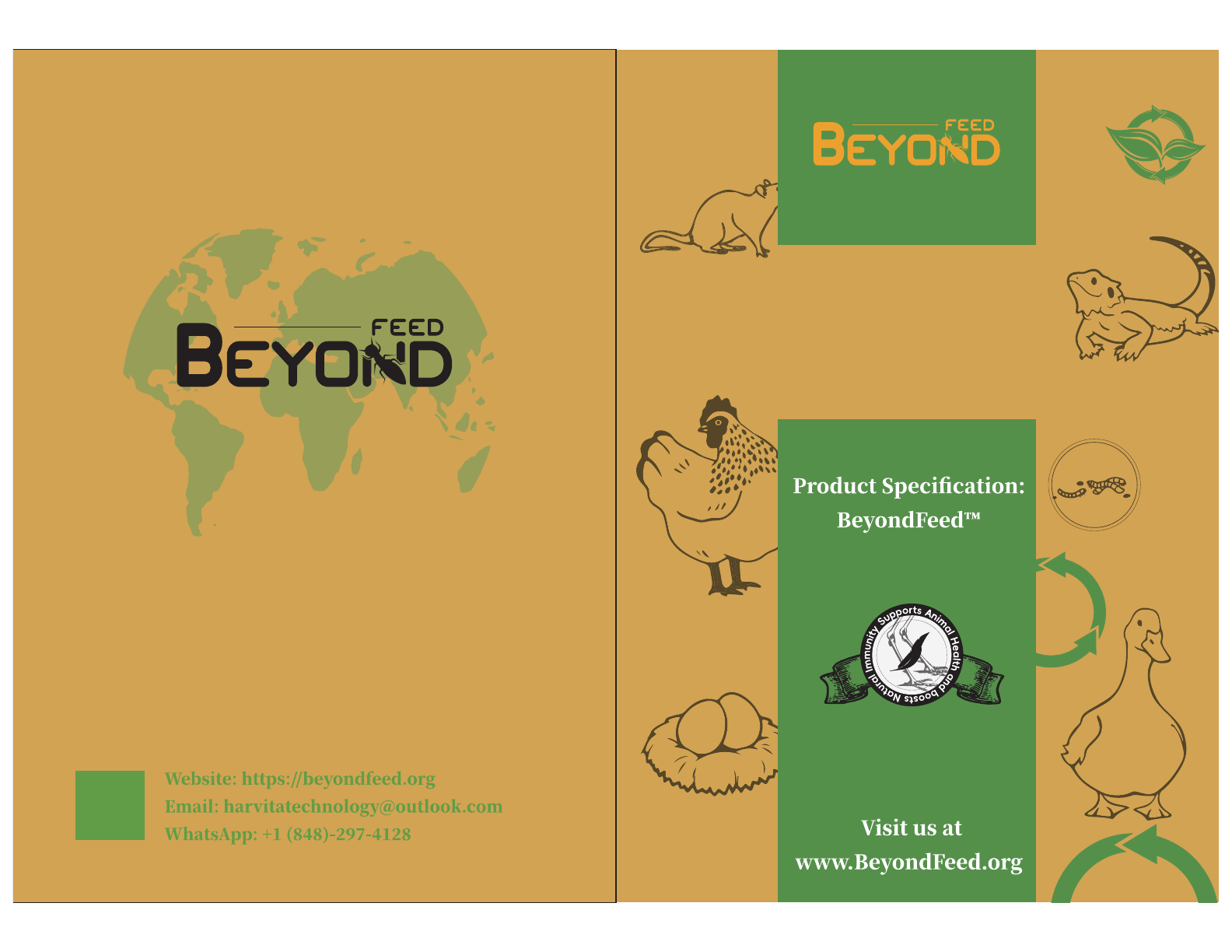 BeyondFeed product brochure page 1: BeyondFeed overview and insect-based animal nutrition brand introduction.