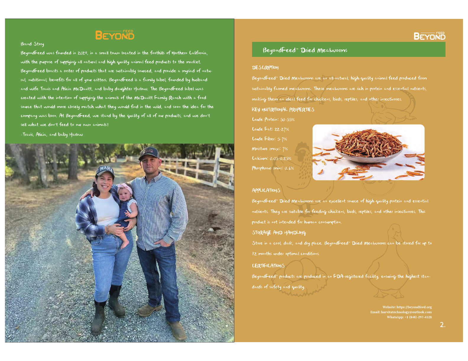 BeyondFeed product brochure page 2: Black soldier fly products, dried insect ingredients, and sustainable protein benefits.