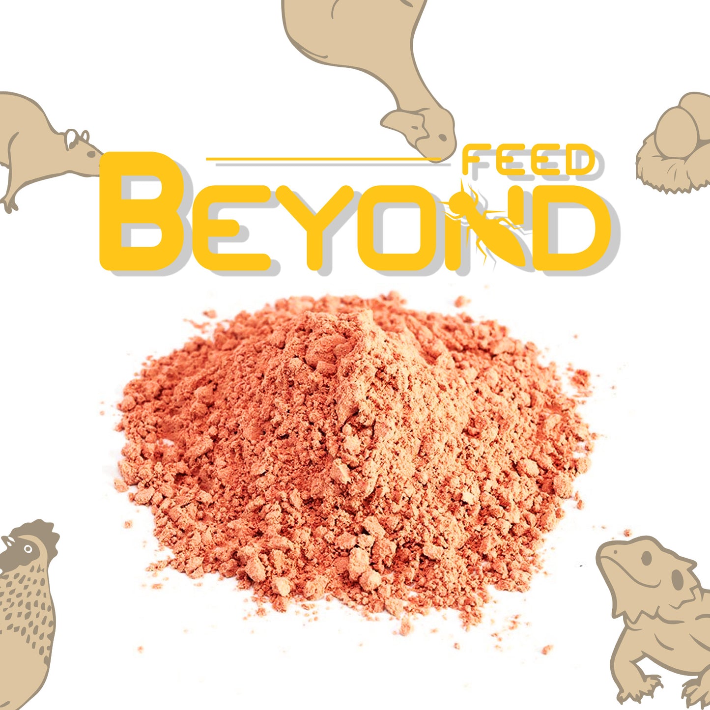 BeyondFeed™ Defatted Black Soldier Fly Larvae Protein Powder