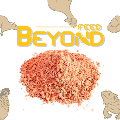 BeyondFeed™ Defatted Black Soldier Fly Larvae Protein Powder