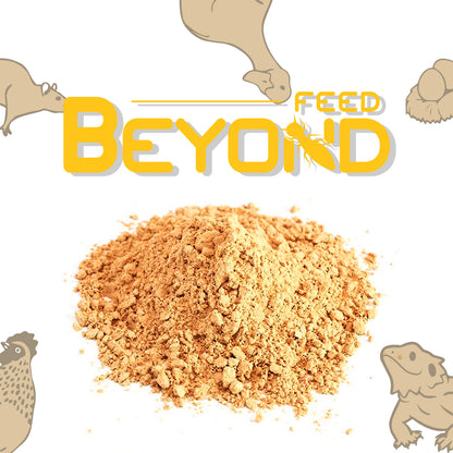 BeyondFeed™ Defatted Mealworm Protein Powder
