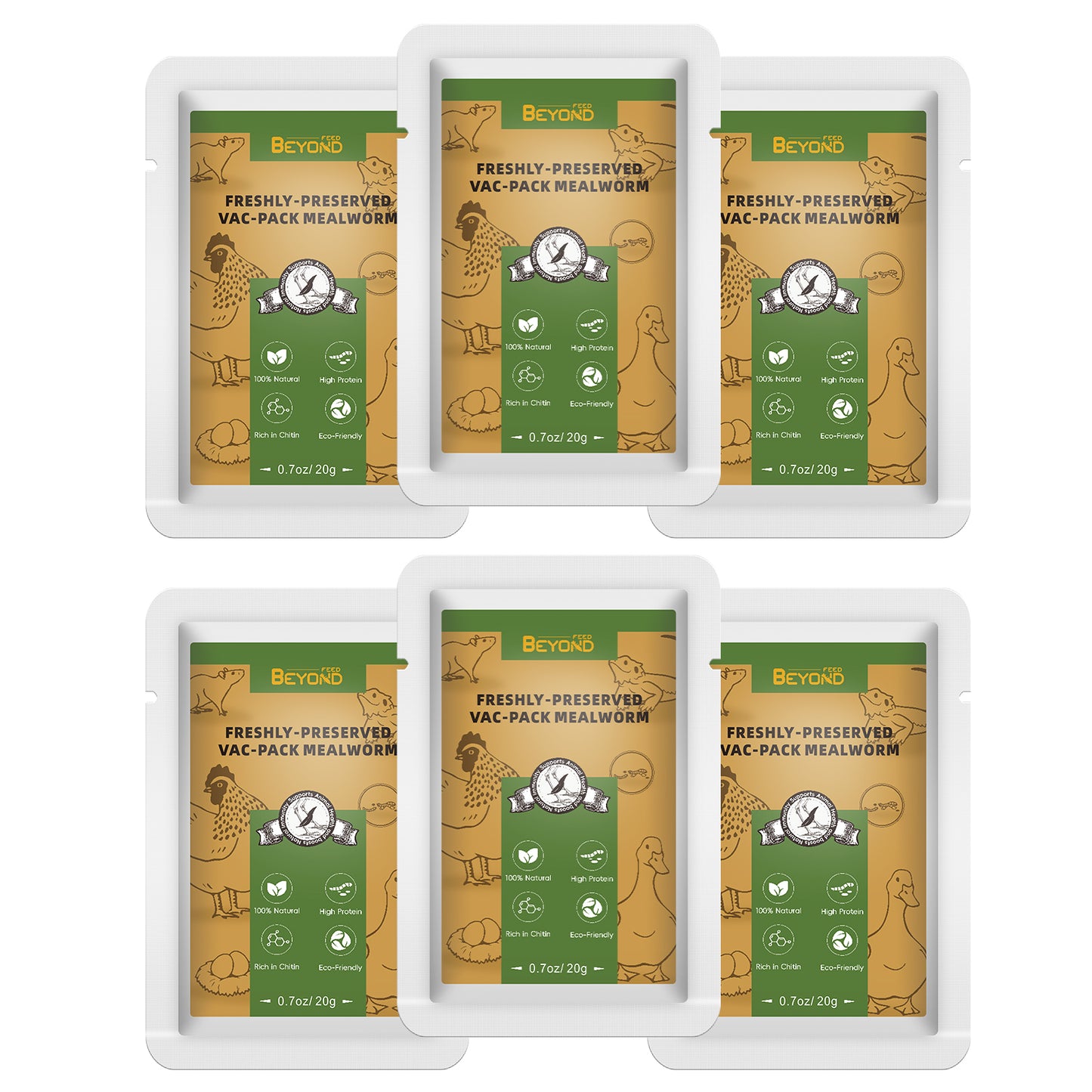 BeyondFeed™ USA Grown Freshly Preserved Feeder Insects | Mealworms, Superworms & Dubia Roaches