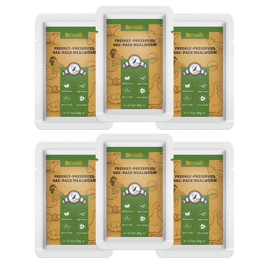BeyondFeed™ USA Grown Freshly Preserved Feeder Insects | Mealworms, Superworms & Dubia Roaches