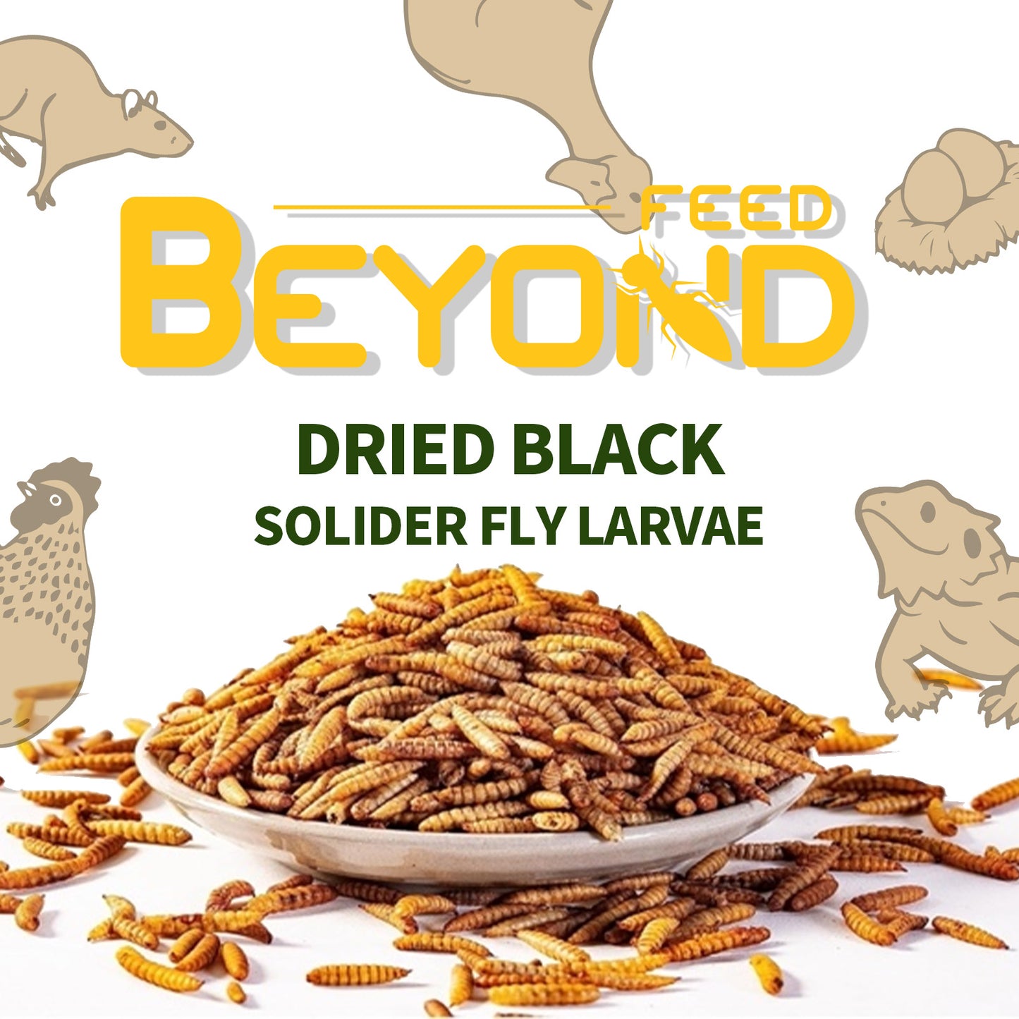 BeyondFeed™ Premium Black Solider Fly Larvae (BSFL) Supplement -50x More Calcium Than Mealworms. Whole Larvae, No Dust.