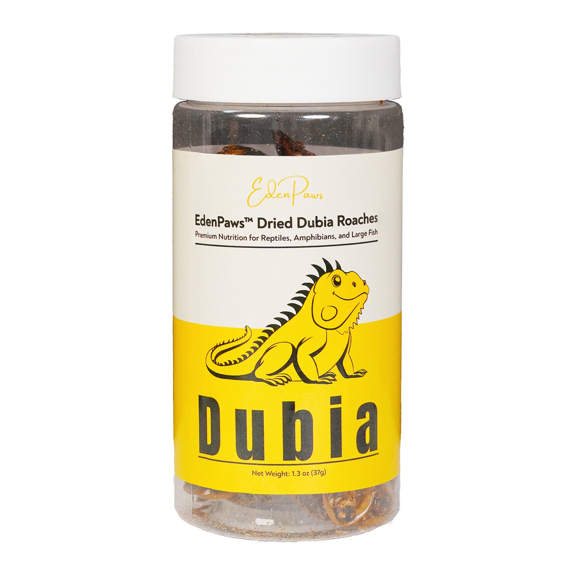 EDENPAWS® Dried Dubia Roaches – High Protein, 100% Natural Feeder Insects for Reptiles, Amphibians, and Large Fish – 1.3 oz (37g)