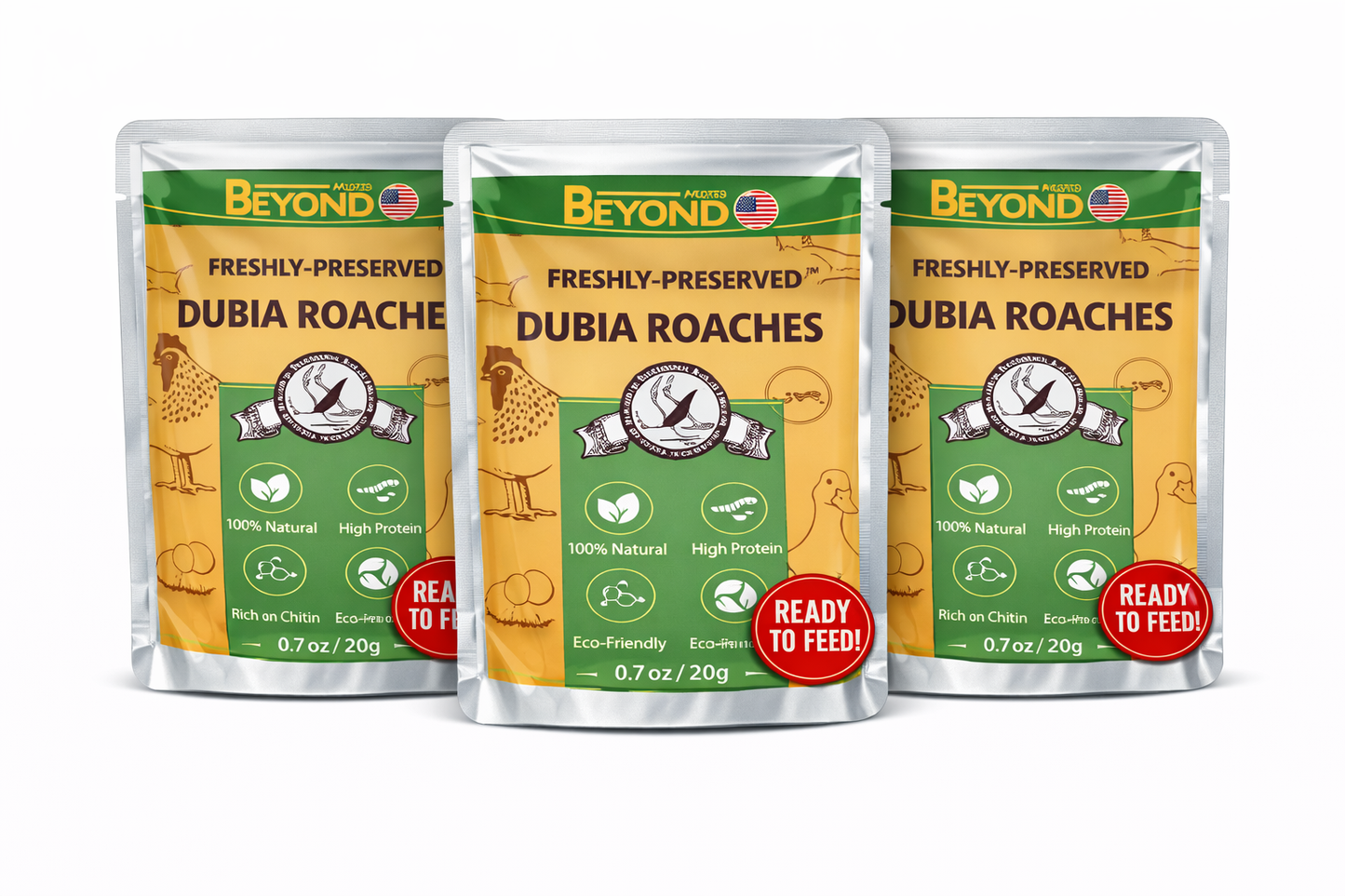 BeyondFeed™ USA Grown Freshly Preserved Feeder Insects | Mealworms, Superworms & Dubia Roaches