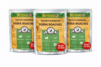 BeyondFeed™ USA Grown Freshly Preserved Feeder Insects | Mealworms, Superworms & Dubia Roaches