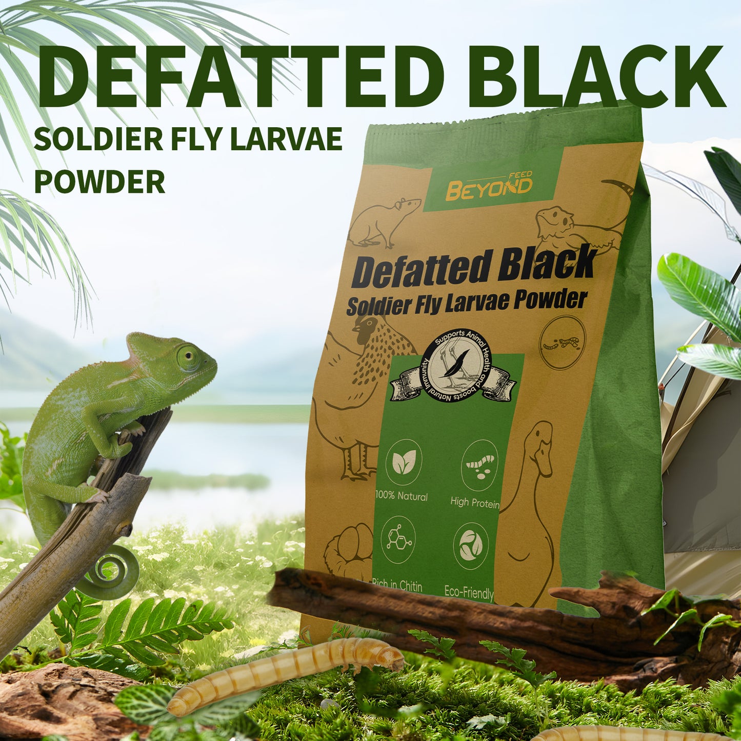 BeyondFeed™ Defatted Black Soldier Fly Larvae Protein Powder