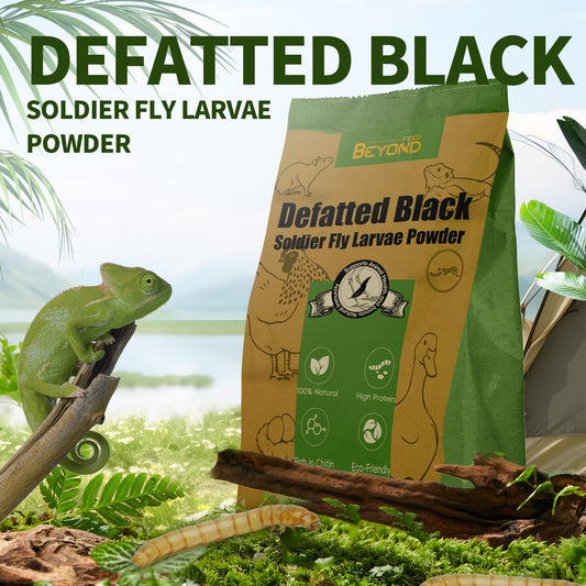 BeyondFeed™ Defatted Black Soldier Fly Larvae Protein Powder