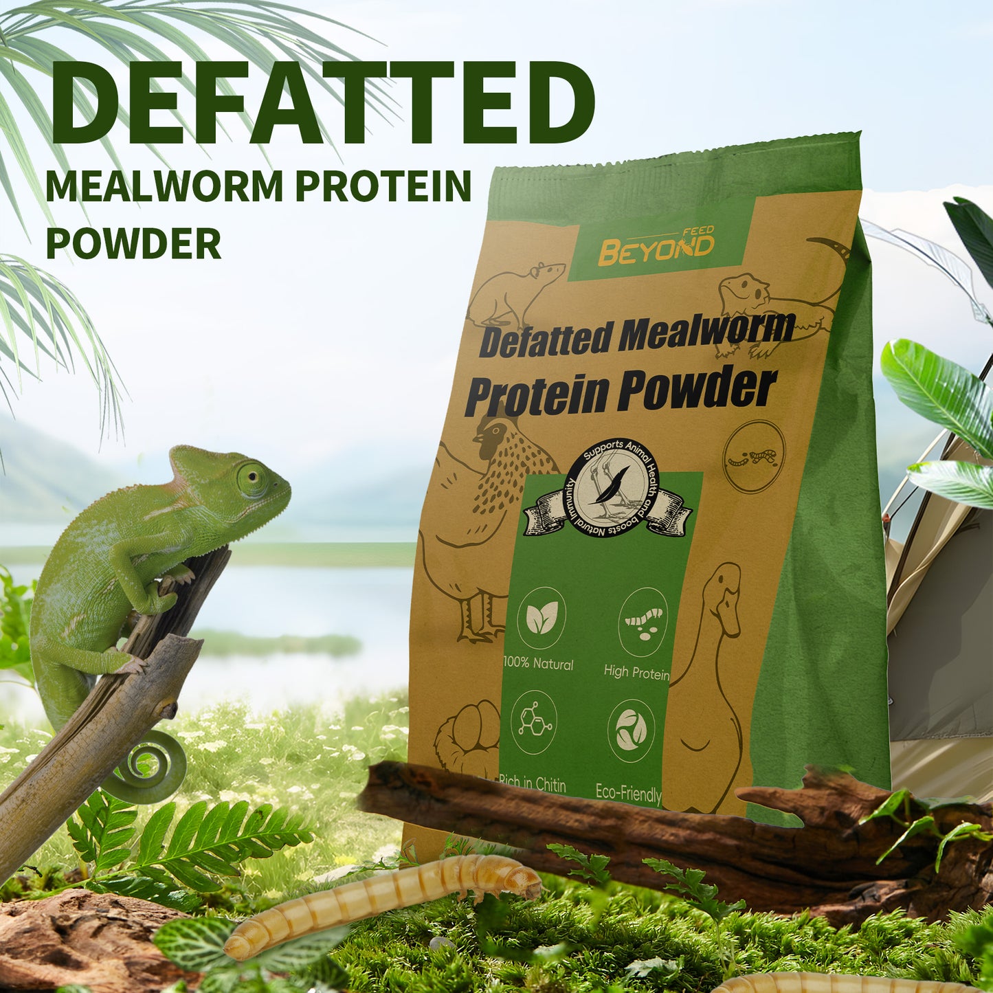 BeyondFeed™ Defatted Mealworm Protein Powder