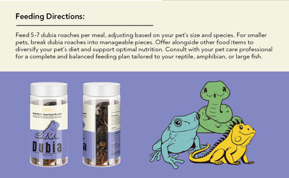 EDENPAWS® Dried Dubia Roaches – High Protein, 100% Natural Feeder Insects for Reptiles, Amphibians, and Large Fish – 1.3 oz (37g)