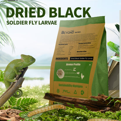 BeyondFeed™ Premium Black Solider Fly Larvae (BSFL) Supplement -50x More Calcium Than Mealworms. Whole Larvae, No Dust.