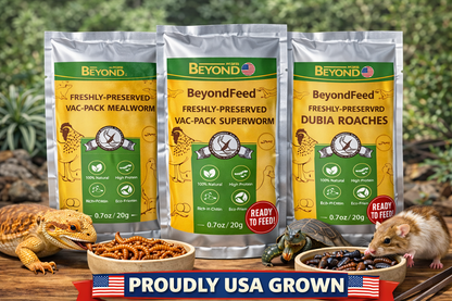 BeyondFeed™ USA Grown Freshly Preserved Feeder Insects | Mealworms, Superworms & Dubia Roaches