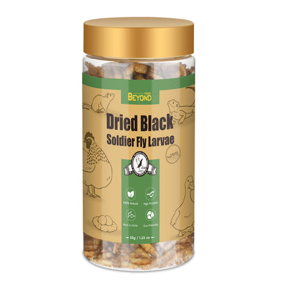 BeyondFeed™ Premium Black Solider Fly Larvae (BSFL) Supplement -50x More Calcium Than Mealworms. Whole Larvae, No Dust.
