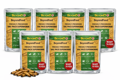 BeyondFeed™ USA Grown Freshly Preserved Feeder Insects | Mealworms, Superworms & Dubia Roaches