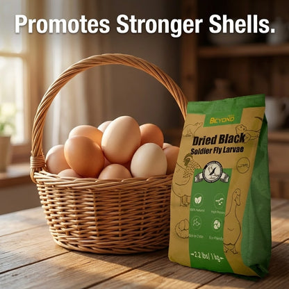 BeyondFeed™ Premium Black Solider Fly Larvae (BSFL) Supplement -50x More Calcium Than Mealworms. Whole Larvae, No Dust.