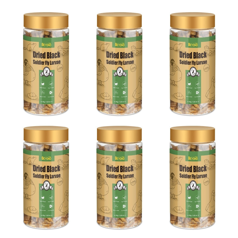 BeyondFeed™ Premium Black Solider Fly Larvae (BSFL) Supplement -50x More Calcium Than Mealworms. Whole Larvae, No Dust.