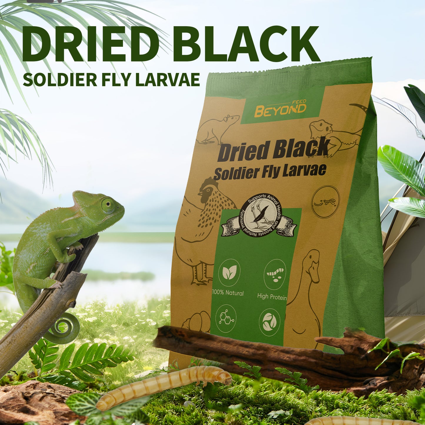 BeyondFeed™ Premium Black Solider Fly Larvae (BSFL) Supplement -50x More Calcium Than Mealworms. Whole Larvae, No Dust.