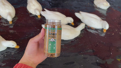 BeyondFeed™ Defatted Mealworm Protein Powder