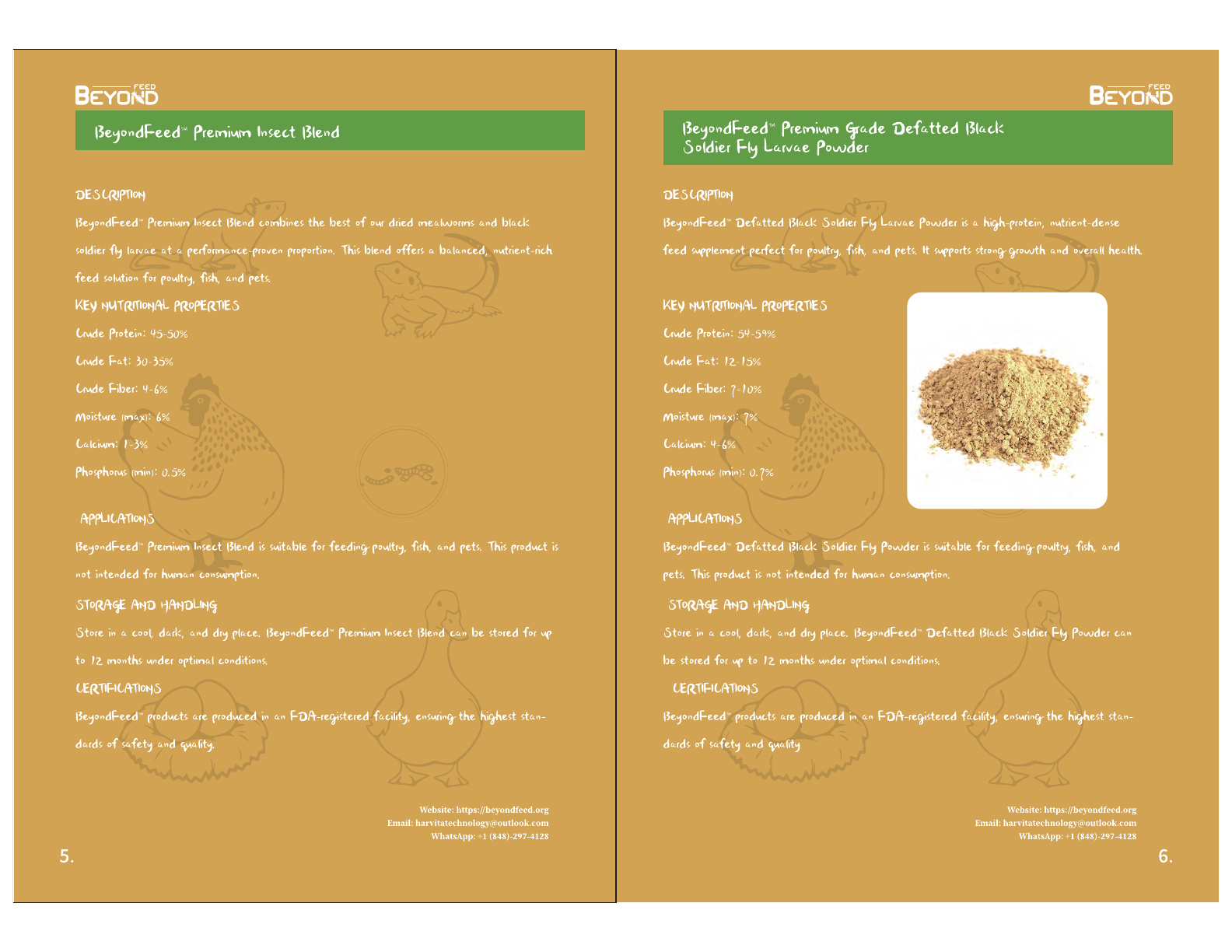 BeyondFeed product brochure page 4: Product options including whole insects, preserved feeder insects, powders, pellets, and feeding accessories.